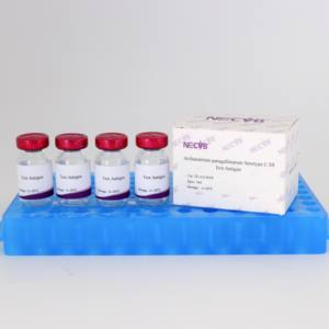 Avibacterium paragallinarum test de sérotype C HI antigène OIE pour le diagnostic infectieux de la volaille Coryza évaluation du vaccin - Product Image 1