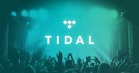 Abonnement Tidal Premium Tidal Music 12 mois, comptes Tidal, abonnement Tidal Hifi Plus 1 an