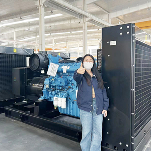 ซัพพลายเออร์เครื่องกำเนิดไฟฟ้า 20KW 50KW ขายส่งราคาดีที่สุดสำหรับใช้ในบ้าน - Product Image 4