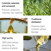 Huile Essentielle de Romarin et Menthe Bio Pure à 100% en Gros, Personnalisée, pour le Renforcement du Cuir Chevelu et des Cheveux, avec Graines de Fenugrec