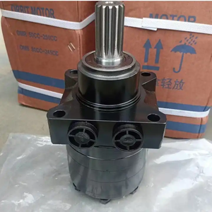 Moteur hydraulique en fonte de la série OMRW OMP OMR 250 315 400 500 TF0360EW260LAAY TF0170ZS06EEEC, pièce de rechange pour machines hydrauliques - Product Image 6