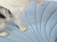 2025 nouveauté refroidissement tapis pour animaux de compagnie forme de feuille personnalisable en gros vente chaude été doit avoir