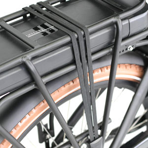 Design olandese triciclo elettrico <span class=keywords><strong>Cargo</strong></span> cabina anteriore per bambini uso famiglia 3 ruote <span class=keywords><strong>bicicletta</strong></span> <span class=keywords><strong>elettrica</strong></span> - Product Image 5