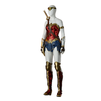 Costume Wonder Woman personnalisé et économique