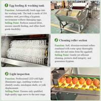 Laveuse d'oeufs salée commerciale fraîche poule volaille brosse nettoyant Machine à laver pour oeuf avec livraison Express