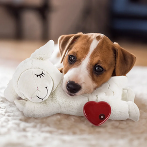 AFP ของเล่นเพื่อลดความวิตกกังวลของสุนัขแมวของเล่นช่วยในการนอนหลับตุ๊กตาผ้านุ่มยัดนุ่นของเล่นหัวใจสุนัขของเล่นสำหรับสัตว์เลี้ยง - Product Image 6