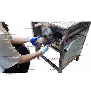 India hot selling tender coconut polishing machine green coconut polishing machine