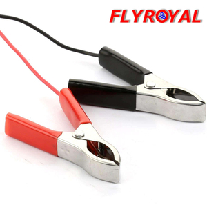 Cables Auxiliares con Conector DC5.5mm Rojo y Negro, Pinza de Cocodrilo para Auto, Cable de Conexión para Batería Solar - Product Image 1