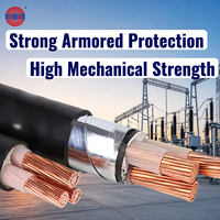 Cable de Alimentación Subterráneo Blindado YJV de Alta Calidad CU/XLPE/STA/PVC 0.6/1kV