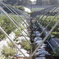 Serre polytunnel en promotion, couverture en film plastique, serre économique multi-travées pour la culture des myrtilles à vendre