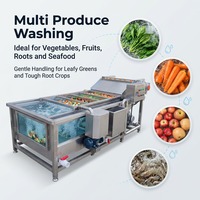 Volledig Automatische Kantelbare Dump-type Hogedruk Belletjesband Groente- en Fruitwasmachine 220/380/440V Laagspanning