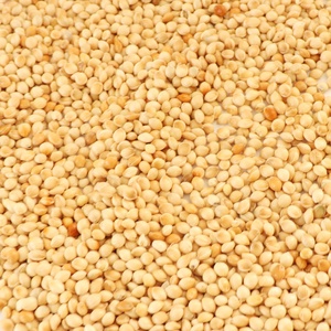 Chất lượng cao kê Trắng broomcorn milets vỏ milets thực phẩm cho chim - Product Image 4