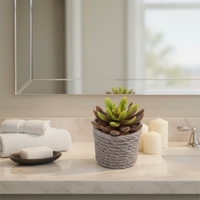Mini plante succulente artificielle en forme de rosette dans un pot texturé tressé, fausse verdure en pot pour la décoration de la maison, du bureau, du bureau, de la table