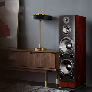 Haut-parleurs Hi-Fi HAX163 avec deux woofers de 10 pouces, enceinte en <span class=keywords><strong>bois</strong></span>, tour passive audiophile pour l'audio domestique - Product Image 4