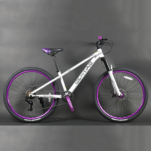Mountain Bike da Discesa di Alta Qualità da 27.5 Pollici, Speciale Bici Cinese MTB con Forcella in Acciaio e Sistema Frenante a Disco - Product Image 1