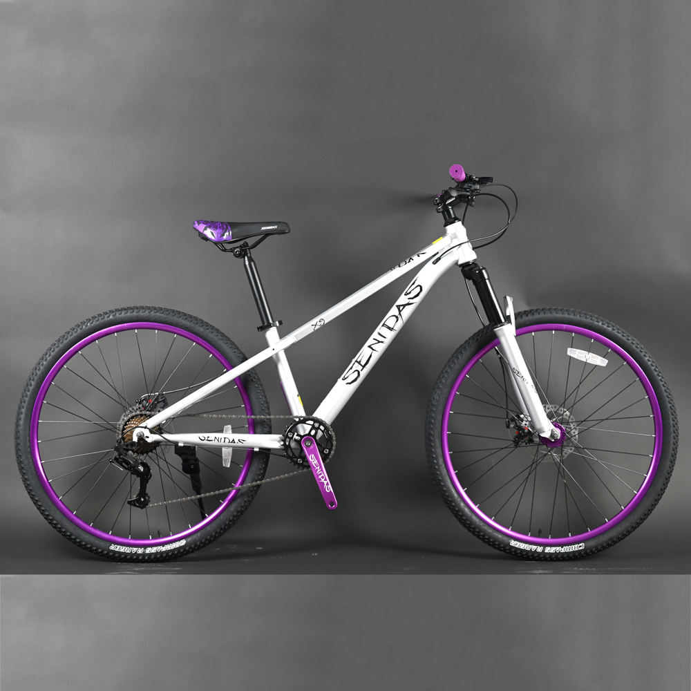 Top Chinese Mountain Bikes - Quality and Affordability