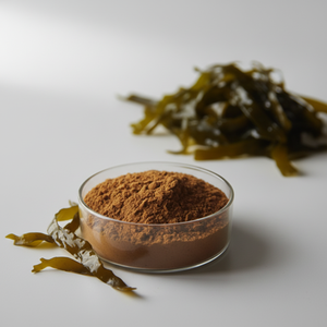 Polvo de Algas Marinas Marrones, Extracto de Algas Laminaria Deshidratadas Solubles en Agua, al por Mayor - Product Image 3