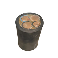Heißer Verkauf H07rn-F H05rn-F Kupfer Gummi Flexibles Stromkabel 2 Kern 3 Kern Elektrischer Draht EPR Größen 25 mm2 450/750V 25 mm2