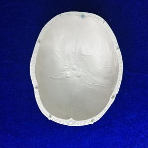 Model tengkorak sains medis PVC 8 bagian struktur anatomi terperinci arteri untuk penyakit pengajaran medis rumah sakit sekolah - Product Image 5