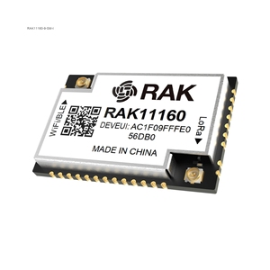 โมดูลดูอัลคอร์ RAK11160-9-SM-I สำหรับ LORAWAN WIT ของแท้ใหม่ มีสินค้าในสต็อก - Product Image 1