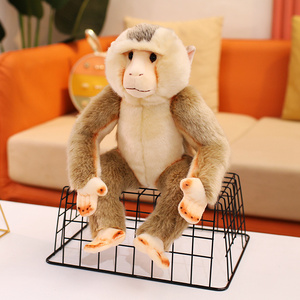 Figura de Peluche de <span class=keywords><strong>Mono</strong></span> y <span class=keywords><strong>Babuino</strong></span> de Bosque Simulado para Zoológico, Muñeco Infantil, Regalo Reconfortante - Product Image 3