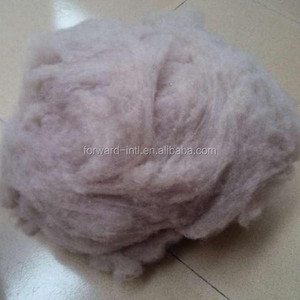 Fibra de Cachemira Deslanada <span class=keywords><strong>en</strong></span> Venta - Product Image 2
