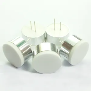 Trasduttore ultrasonico Micro piccolo in ceramica ad alta frequenza 200khz sensore di rilevamento della distanza del misuratore di portata