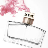 Flacon de parfum en verre personnalisé avec logo, luxe, 30ml 50ml 100ml, flacons de parfum vides avec pompe, impression sérigraphique, diffuseur de parfum, cosmétiques