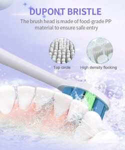 <span class=keywords><strong>Cepillo</strong></span> <span class=keywords><strong>de</strong></span> <span class=keywords><strong>dientes</strong></span> eléctrico sónico para adultos al <span class=keywords><strong>mejor</strong></span> <span class=keywords><strong>precio</strong></span> <span class=keywords><strong>de</strong></span> OEM Source Factory, <span class=keywords><strong>calidad</strong></span> superior con batería recargable USB IPX7 - Product Image 3