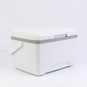 Insulated Portable Modern PP <b>Cooler</b> <b>Box</b> for Camping High Quality Recyclable Water Resistant 8L Capacity Wine & Food - Product Image 5