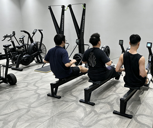 Equipo de Gimnasio 2 en 1: Plataforma de Entrenamiento <span class=keywords><strong>CrossFit</strong></span>, <span class=keywords><strong>Trineo</strong></span> de Empuje y Arrastre, Pared de Bolas, Rack Funcional Dual, Ahorro de Espacio - Product Image 5