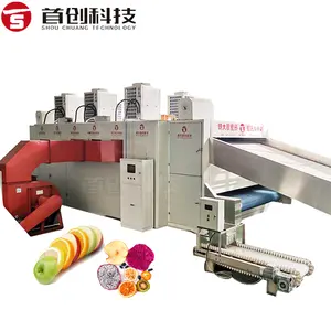 Multi-Lagen Riem Fruit Drogere Machine Verse Aardbei Persimmon Dadel Palm Fruit Droogapparatuur