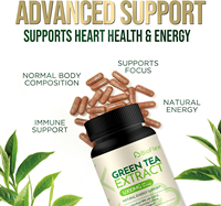 Extrait de thé vert 1000mg Complément alimentaire 3X Force Antioxydant EGCG Boost d'énergie Sans OGM Sans gluten 120