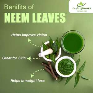 Hot Selling Naturally Grown Sun Dried Neem Leaves Antiseptic Detox Herbal from Sri Lanka - Product Image 4