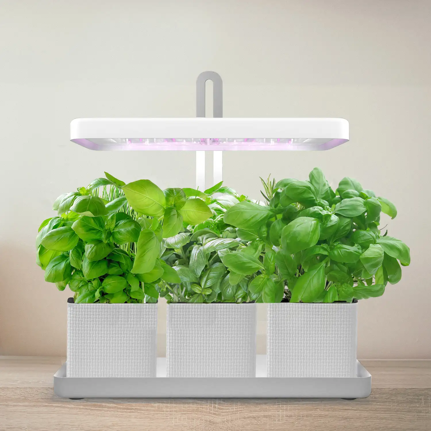 LED Indoor garden hurb kitchen garden grow light plant ideale per piante Grow top led grow light smart grow box indoor grow garden