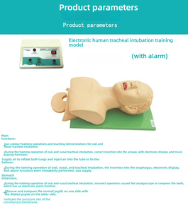 Modèle avancé de formation d'urgence pour adultes en PVC intubation humaine avec outil d'enseignement électronique d'alarme dentaire - Product Image 4