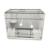 Cage à oiseaux en fil de fer sur mesure, vente en gros, fond en PVC blanc, pour la photographie d'oiseaux