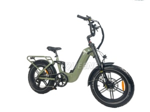 Bicicleta Eléctrica Todoterreno con Llantas Gruesas de 20 Pulgadas, Motor sin Escobillas de 48V 250-1000W, 7 Velocidades, Doble Suspensión - Product Image 5