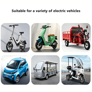 Générateur DC à essence, prolongateur d'autonomie essence-électrique 48V DC, générateur 60V 72V 48V pour la charge de batteries au lithium LiFePO4 - Product Image 3