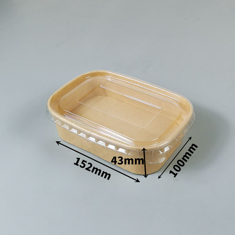 Brun 500ml avec couvercle PS