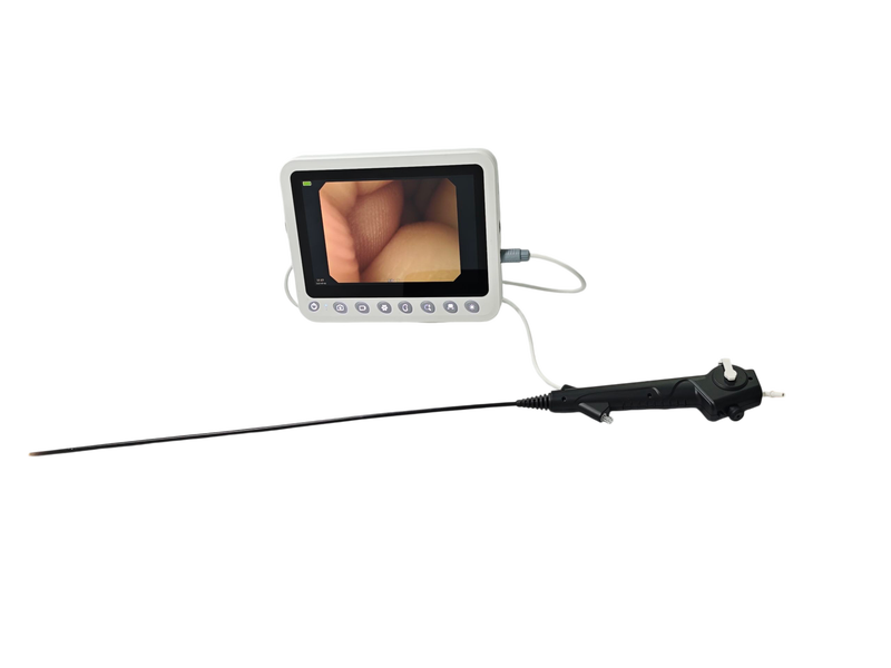 3 in 1 Portable Disposable Digital