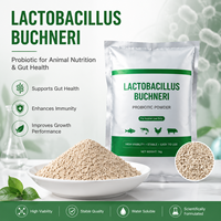 Poudre de probiotiques lyophilisée Lactobacillus Acidophilus pour boissons solides et fermentations de yaourt