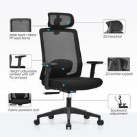 Chaise de bureau ergonomique haut de gamme avec support lombaire 2D, accoudoirs réglables en hauteur, vérin à gaz homologué BIFMA et roulettes silencieuses en nylon PU