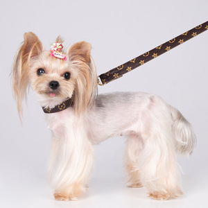 Collare Classico Regolabile per Cani con Lente d'Ingrandimento e Funzione Anti-Soffocamento, Design Floreale, Guinzaglio Resistente all'Usura per Passeggiate con il Cane - Product Image 3