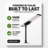 Lampe solaire LED de rue étanche IP66 100W, boîtier en aluminium, contrôleur MPPT, éclairage routier extérieur, télécommande