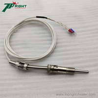 Kabel Sensor Suhu Termokopel Tipe K 50x5mm 3 Meter hingga 600C
