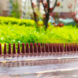 Vogel Spikes <span class=keywords><strong>Plastic</strong></span> Vogel Afschrikmiddel Spikes <span class=keywords><strong>Plastic</strong></span> Afschrikmiddel Anti Diefstal Klimstrips - Product Image 2