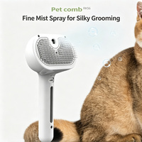Petit peigne pulvérisateur rechargeable en ABS en forme d'ours pour le toilettage des chats et des chiens - Élimination des poils morts et démêlage - Étanche IPX6