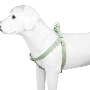 Imbracatura per Cani in PVC Impermeabile, Taglia Regolabile, Fibbie di Sicurezza Multiple, Comoda da Indossare e Togliere - Product Image 5