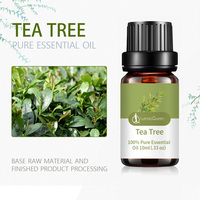 Huile Essentielle 100% Pure et Biologique de Feuilles d'Eucalyptus, Parfum Terrestre, Croissance des Cheveux, Bien-être, Rajeunissement, Aromathérapie, Purifie l'Air